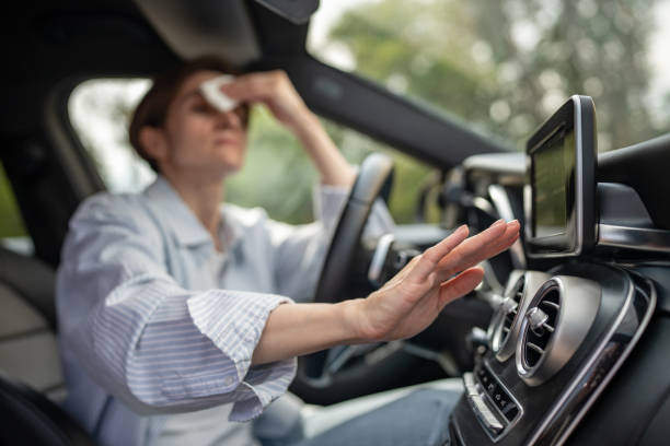 Best Thermostats and Smart Controls in Lake Kerr, FL